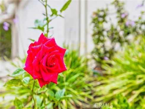 21011  Marin  103 , Lake Forest, CA