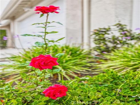 21011  Marin  103 , Lake Forest, CA