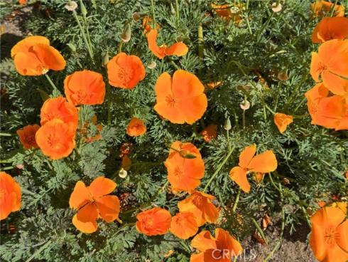 25712 Le Parc 40 , Lake Forest, CA