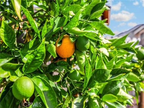 25885  Trabuco  306  Road, Lake Forest, CA