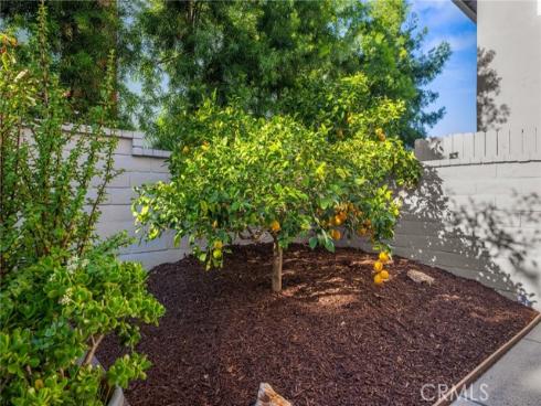 25062  Paseo Cipres  , Lake Forest, CA