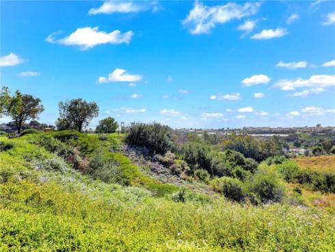 21095 Skylark Drive, Lake Forest, CA