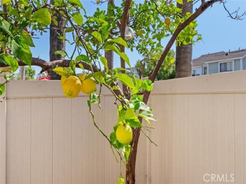 25282 Vista Hermosa , Lake Forest, CA