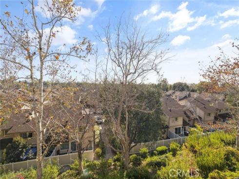 25224 Birch Grove 3 Lane, Lake Forest, CA