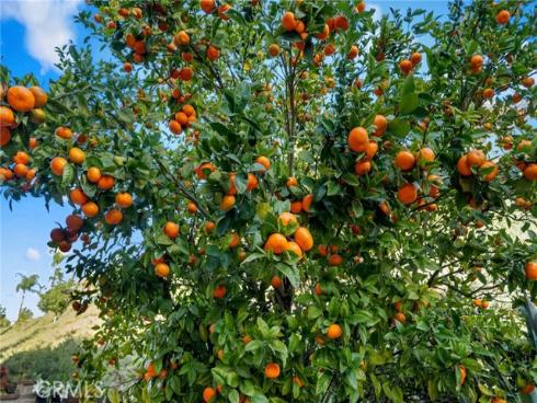 22242  Wayside  , Mission Viejo, CA