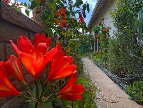 23722 Via Pellicer , Mission Viejo, CA