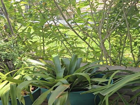 23722 Via Pellicer , Mission Viejo, CA