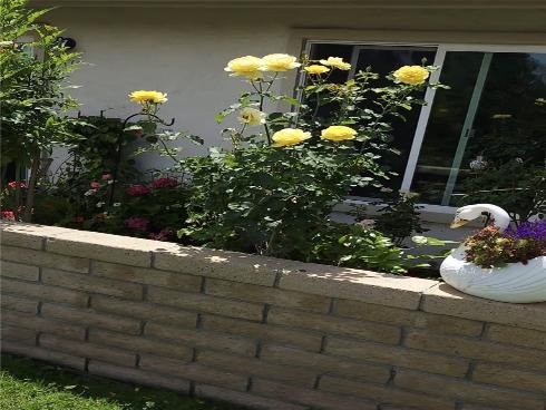 23722 Via Pellicer , Mission Viejo, CA