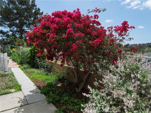 28242  Elmwood  , Mission Viejo, CA