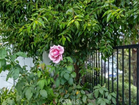 28222  Shore  , Mission Viejo, CA