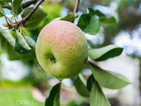 28222  Shore  , Mission Viejo, CA