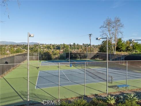 24731  Daphne  , Mission Viejo, CA