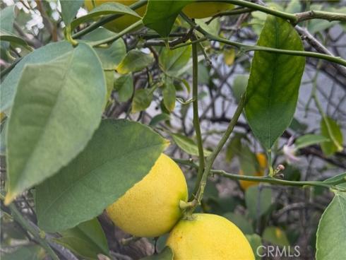 22552  Sacedon  , Mission Viejo, CA