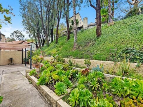 24771  Daphne E  , Mission Viejo, CA