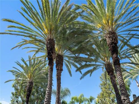 26469  Portola  , Mission Viejo, CA