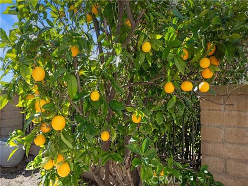 28782  Bolanos  , Mission Viejo, CA