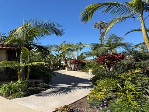 24182  Adonis  , Mission Viejo, CA