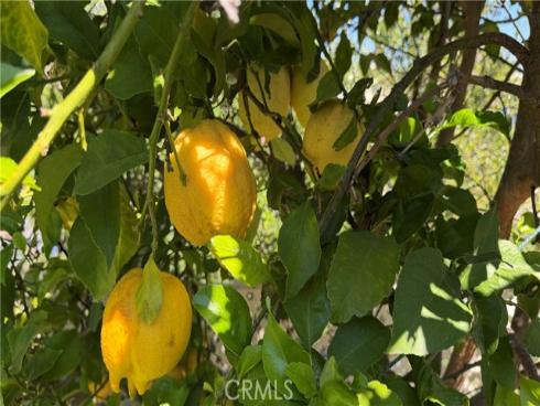 27426  Sereno  , Mission Viejo, CA