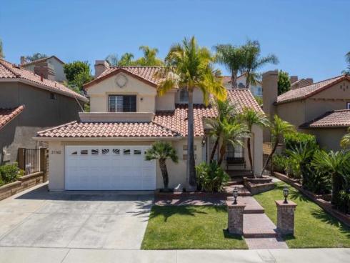 21162 Whitebark