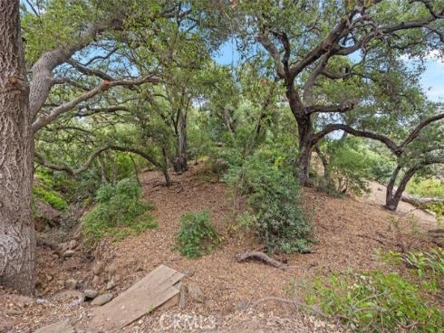 28271  Modjeska Canyon   Road, Modjeska Canyon, CA