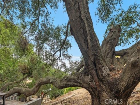 28271  Modjeska Canyon   Road, Modjeska Canyon, CA