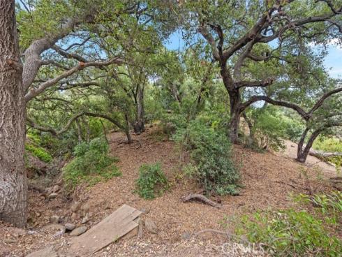 28271  Modjeska Canyon   Road, Modjeska Canyon, CA