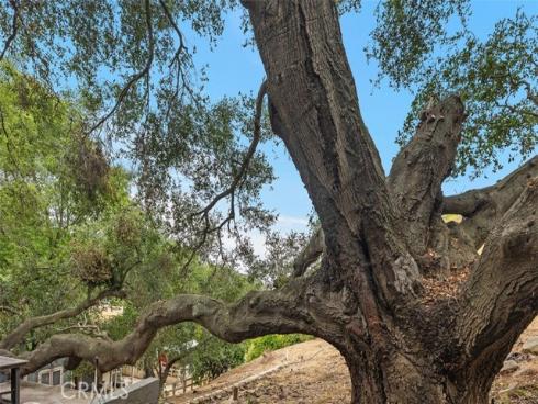 28271  Modjeska Canyon   Road, Modjeska Canyon, CA