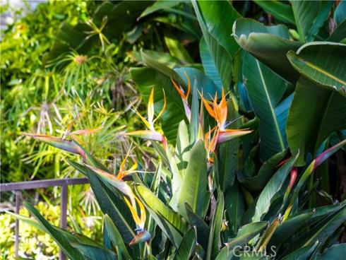 4427 W Coast 13 , Newport Beach, CA