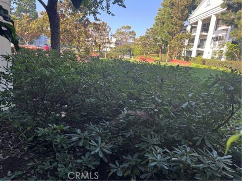 101  Scholz  123  Plaza, Newport Beach, CA