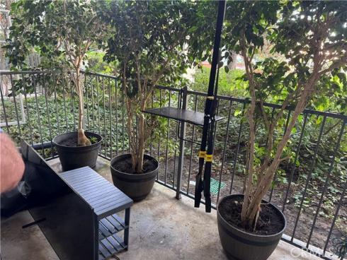 101  Scholz  123  Plaza, Newport Beach, CA