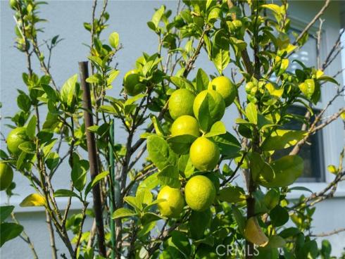 20122  Orchid   Street, Newport Beach, CA