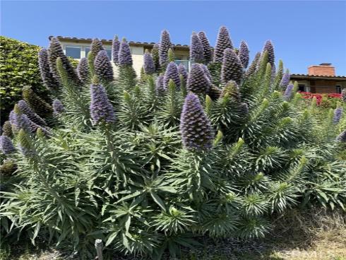 2000  Vista Cajon  , Newport Beach, CA