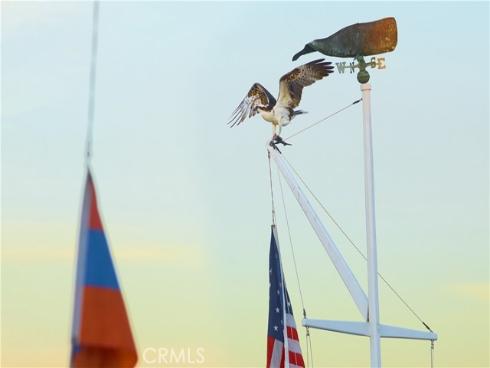 536  Via Lido Nord  , Newport Beach, CA