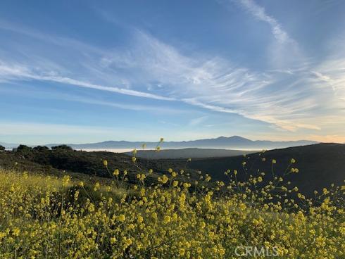 77  Mandria  , Newport Coast, CA