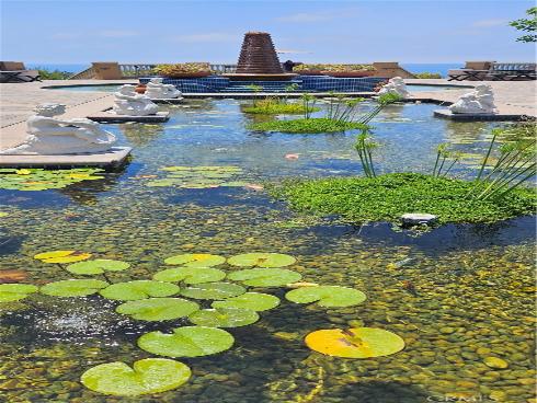 23000  Newport Coast   Drive, Newport Coast, CA