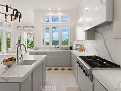 1  Monterey Pine  , Newport Coast, CA