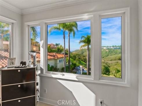 1  Monterey Pine  , Newport Coast, CA