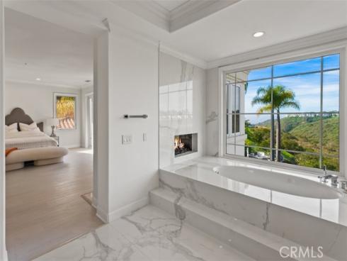 1  Monterey Pine  , Newport Coast, CA