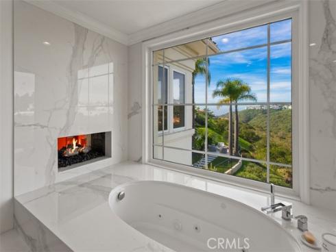 1  Monterey Pine  , Newport Coast, CA