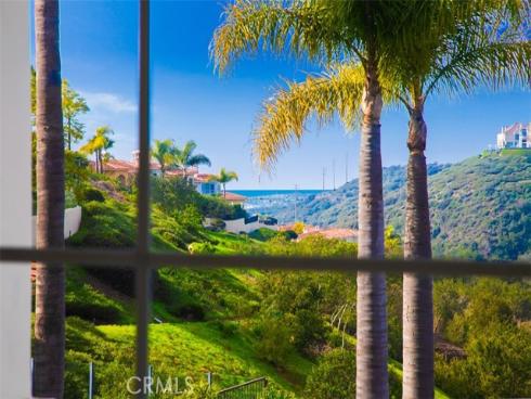 1  Monterey Pine  , Newport Coast, CA