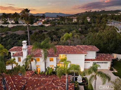 1  Monterey Pine  , Newport Coast, CA