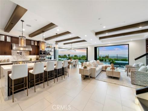 9 Coastal Canyon , Newport Coast, CA