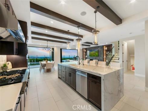 9 Coastal Canyon , Newport Coast, CA