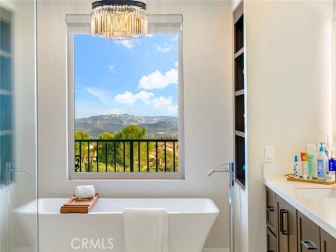 9 Coastal Canyon , Newport Coast, CA