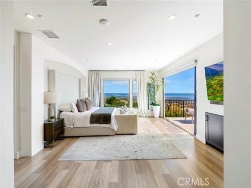9 Coastal Canyon , Newport Coast, CA
