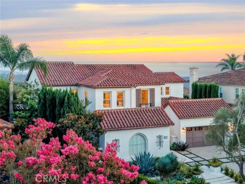 9  Coastal Canyon  , Newport Coast, CA
