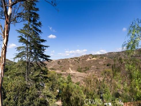 10141  Overhill   Drive, North Tustin, CA