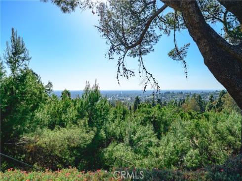 10961  Limetree  , North Tustin, CA