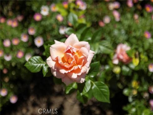 11192  Brunswick  , North Tustin, CA