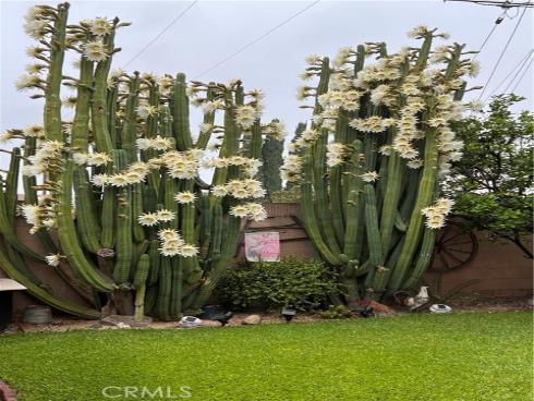 3139 E Chapman 14A Avenue, Orange, CA